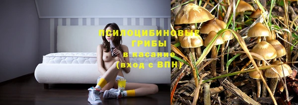 крисы Володарск